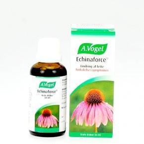 Echinaforce dråber - 50 ml. - A. Vogel