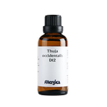 Thuja D12, dråber - Allergica
