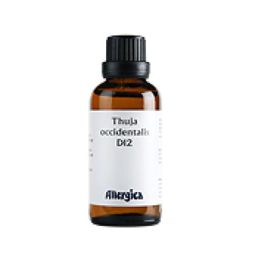 Thuja D12, dråber - Allergica