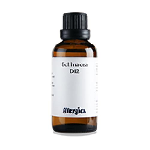 Echinacea D12, dråber - Allergica