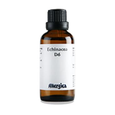 Echinacea D6, dråber - Allergica