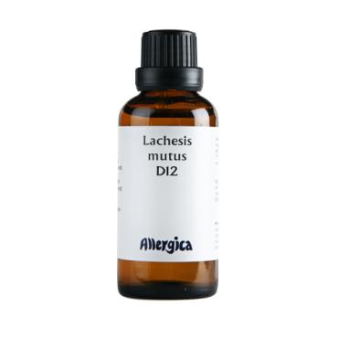 Lachesis D12, dråber - Allergica